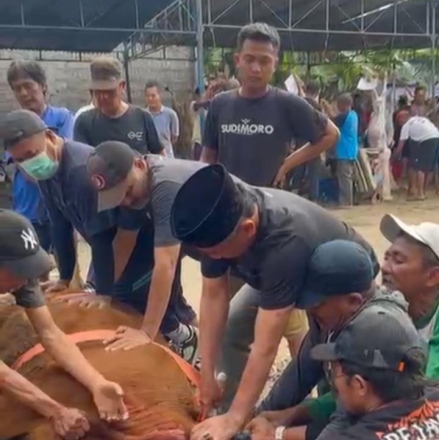 pak lurah timbulharjo bantul pimpin pemotongan sapi qurban merupakan sarana tingkatkan ketaqwaan dan rasa sosial dan kebersamaan